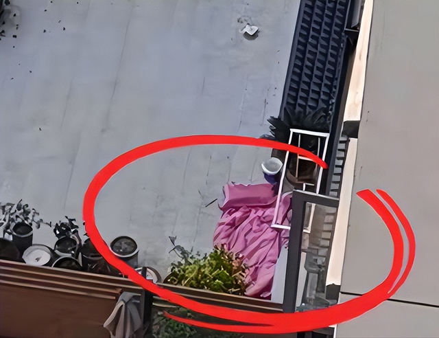 后续！女教师跳楼再添猛料，父母不愿退还彩礼，原来不仅只有逼婚