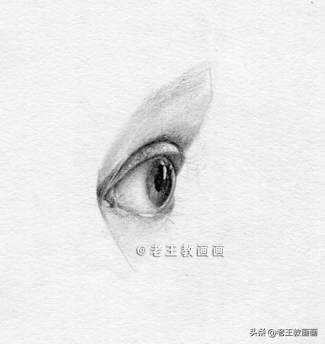 眼睛怎么画？详细教你画一幅！