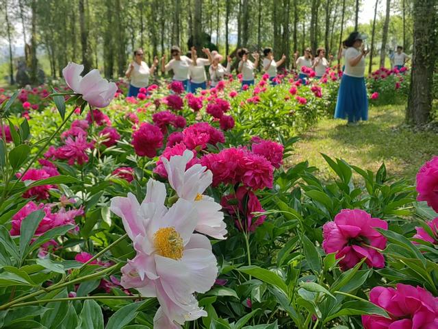 龙井：文化“活水”润边城 旅游“旺火”暖经济