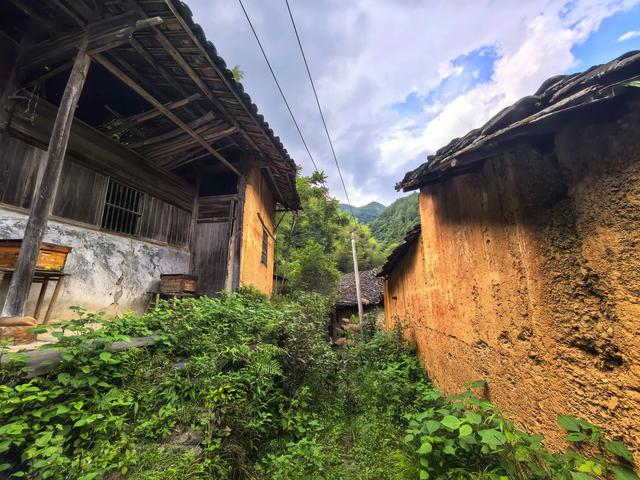 荒村上周尾