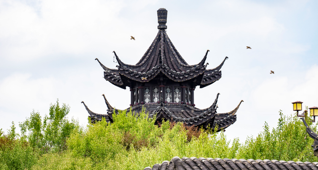 世界旅游日 | 世界那么大 大丰等你来🤗