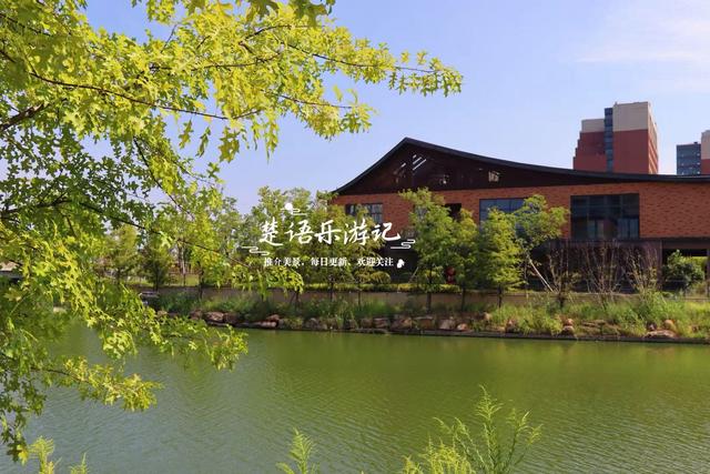 宁波慈溪这处风景被人忽略但很优美，即将迎来绚烂时刻，值得游玩