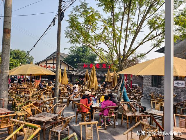 四川行(75)广汉②金雁湖公园·黑塔街·龙居寺