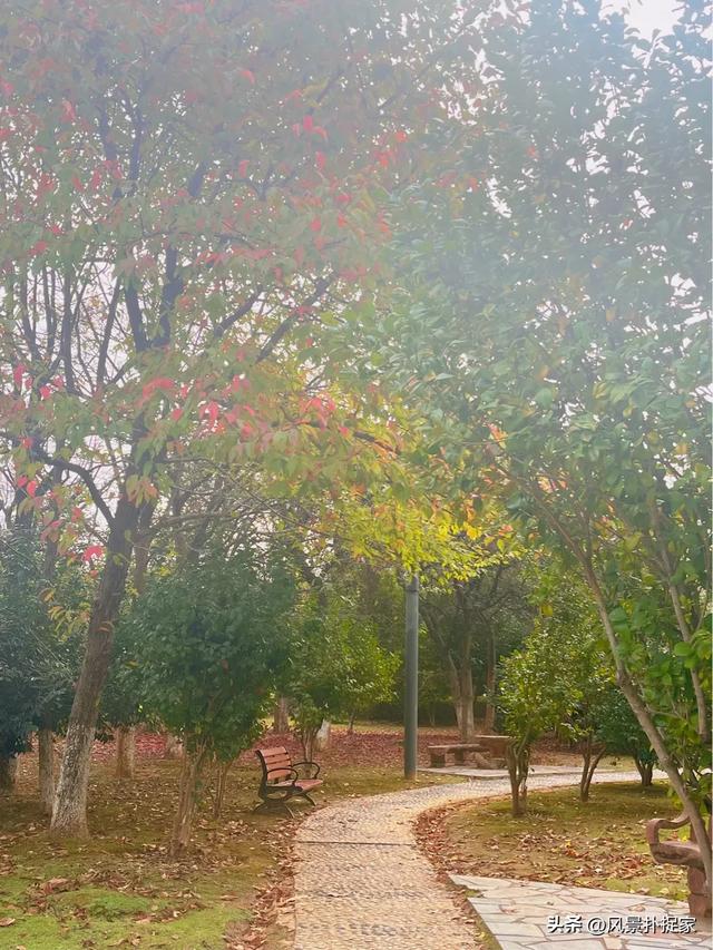 南昌的晚秋,风景美如画