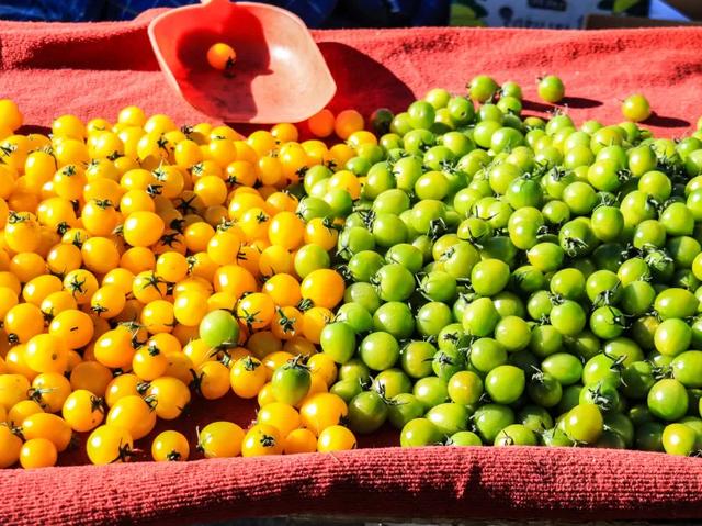 秋色满筐 早市上的色彩交响