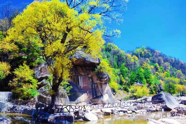 【摄影报道】张家川县：游丝路大关山 品诗意花园