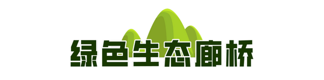 散步吗？济南初秋最得劲的溜达地图来了！
