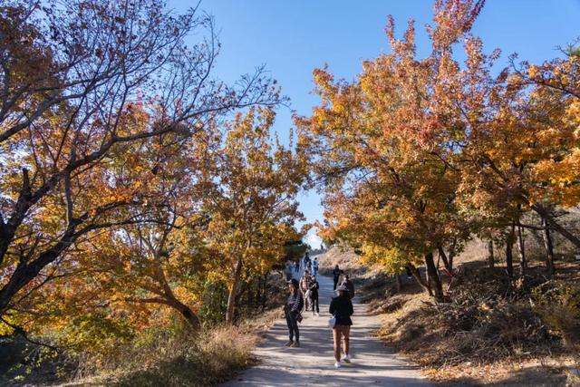 收藏一个秋天,石景山绝美秋色大公开