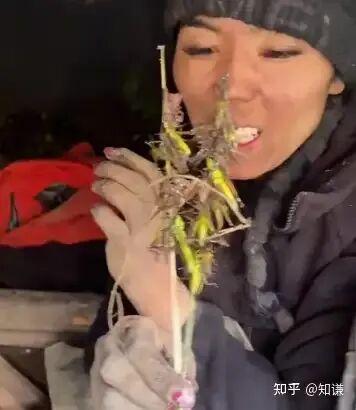 热议丨荒野求生5名选手血钾超标，这是哪些因素造成的？有何影响