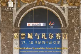 新民艺评｜双宫辉映交织文明互鉴图片