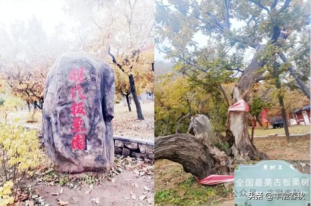 水淹城墙建树功劳 灏明湖畔风光特好—游怀柔“黄花城水长城”偶感