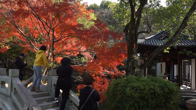 湖州换上初冬“限定皮肤”