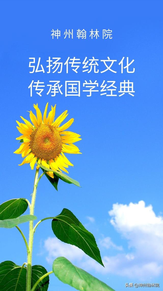 夏日农家小院：绿意盎然的自然诗篇