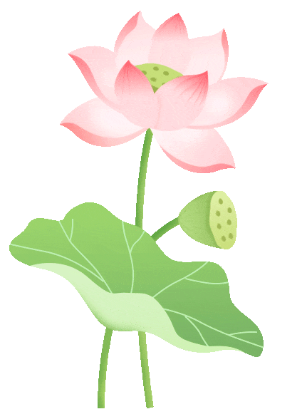 广州出发，奔赴三明！“山水沁凉·绿都三明”专线邀您畅享夏日清凉～