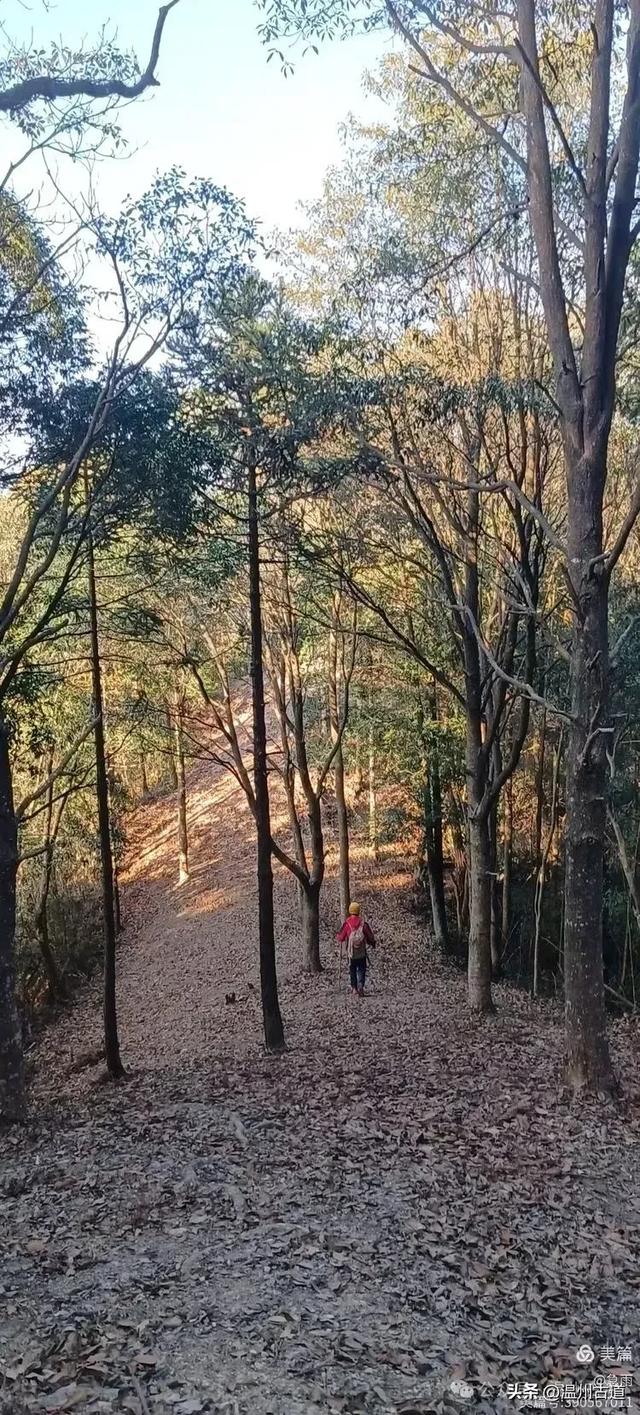 五次试走，终于揭开楠溪江源头永仙边界这条防火道的神秘面纱！