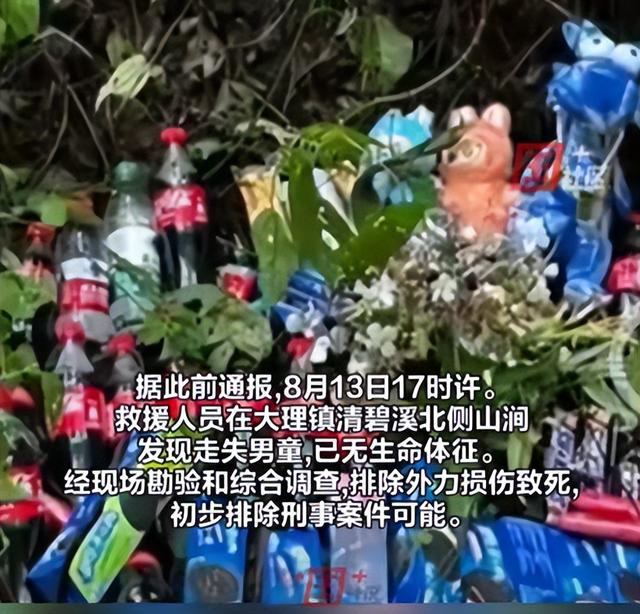 自闭男童尸检出炉！真正死因曝光，家长将起诉，真相比想象更残酷