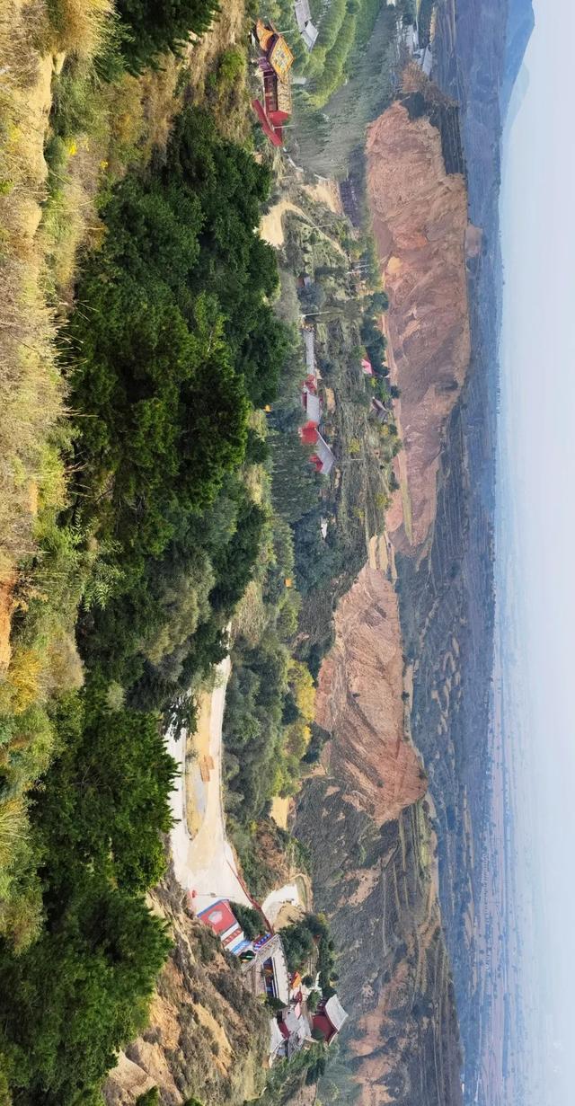 系舟山，藏不住了！