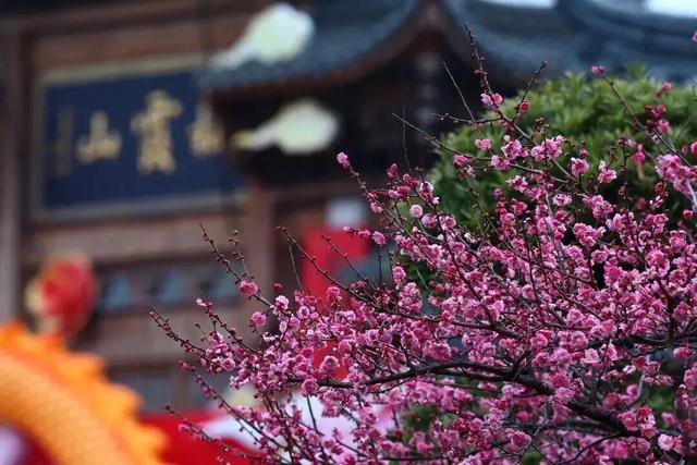 多个景区官宣：免费