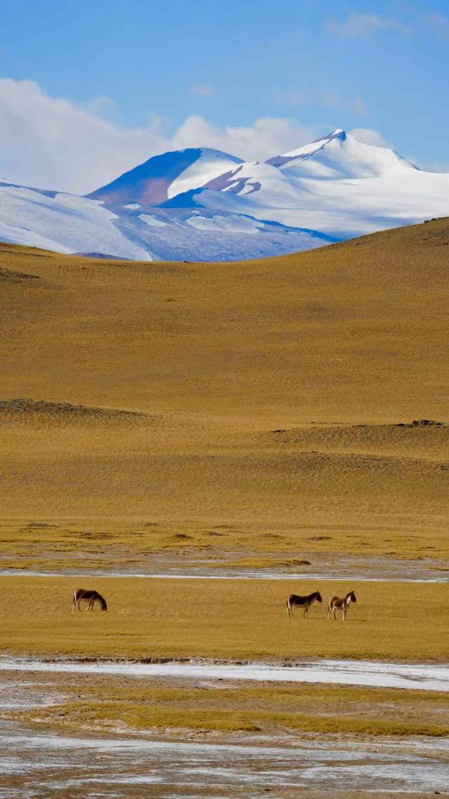 国内自驾游最经典的27条路线，适合退休人士，争取一年走2条！