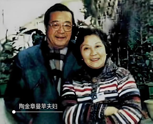 图说大明星陶金 娱乐圈少有的老实人 但为何妻子女儿却对他又爱又恨