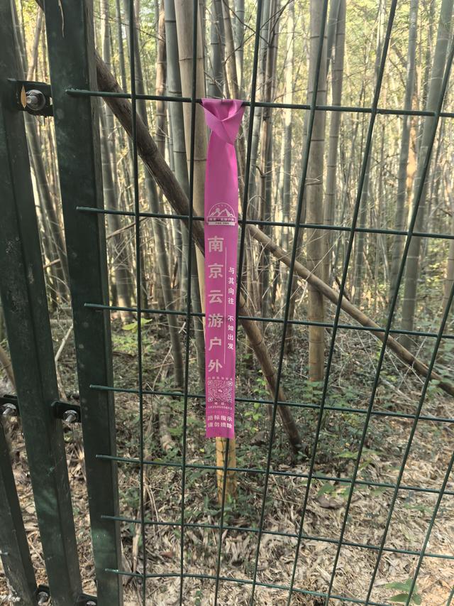 南京龙尚湖，大连山，佘村一日郊野徒步