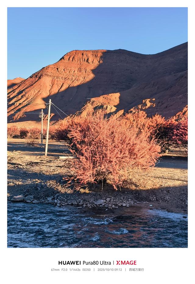 西域万里行 D11：羌塘腹地，一错再错的蓝色史诗