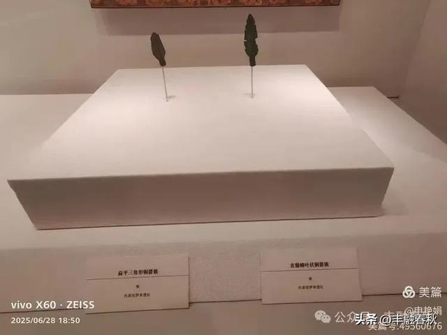 探秘丝路明珠,邂逅巴楚千年文明——走进新疆巴楚博物馆|申艳娟