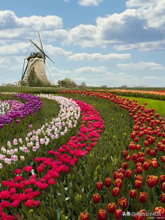 江苏盐城 | 这座宝藏小城太值得去了！