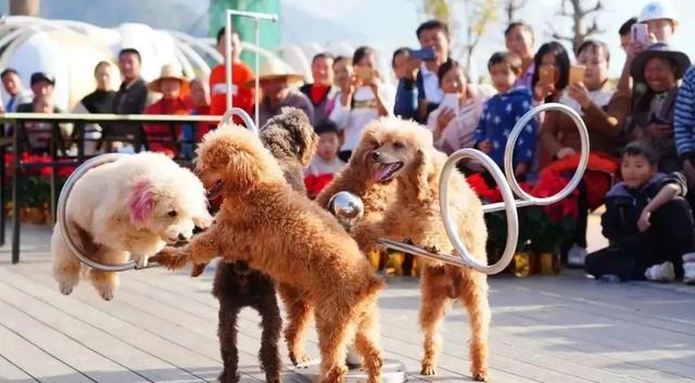 曲沃：熟悉的地方更舒心