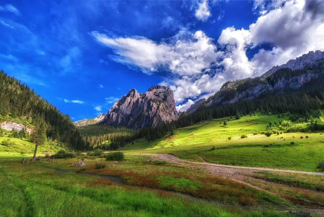 西藏类乌齐秘境徒步：穿越原始松林，邂逅隐居高山湖泊