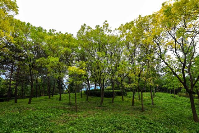 浞景无边，快乐亦无边~