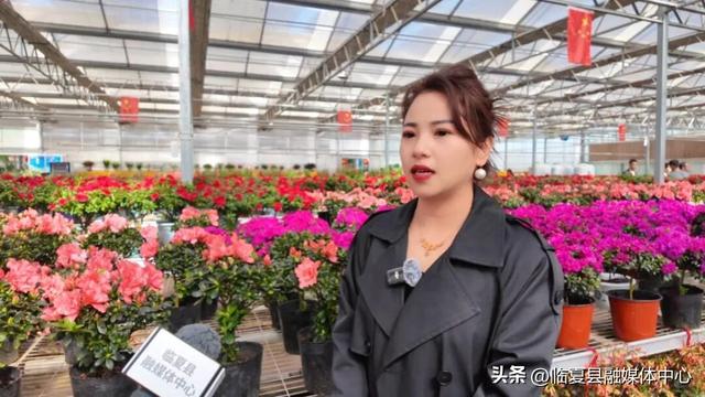 【新春走基层】临夏县：丙午马年新春文旅市场红火开局