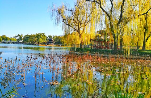 狂风散尽现碧空 北京市民陶然亭公园共赴“大风蓝”之约