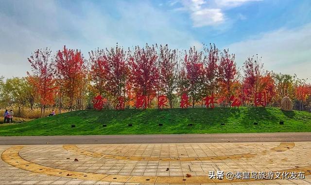 秦皇岛最大临海公园迎来“颜值巅峰”,栈桥听海、枫林斑斓,打卡走起!