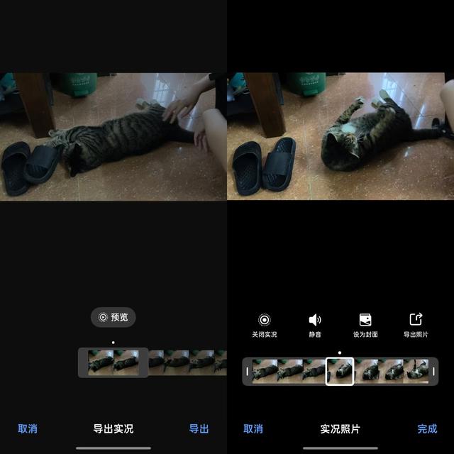 2799元起售！实测Reno14新机：小米沉默，果粉破防？