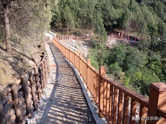 诚邀您共赴一场焕活身心的“森”呼吸之旅！