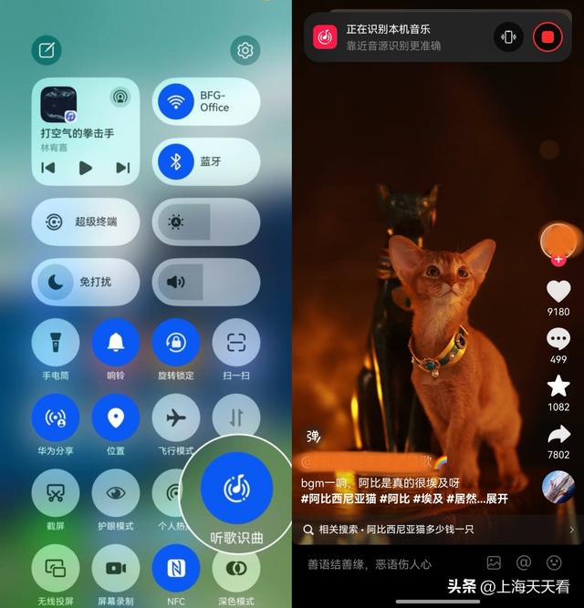 暑假都过半了，你居然还没打卡埃及展？速来华为音乐免费领门票！