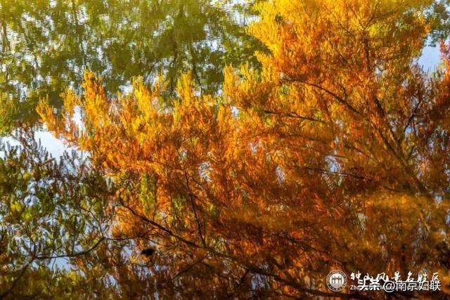 给个准信！盼了又盼的秋日“顶流”全部上线