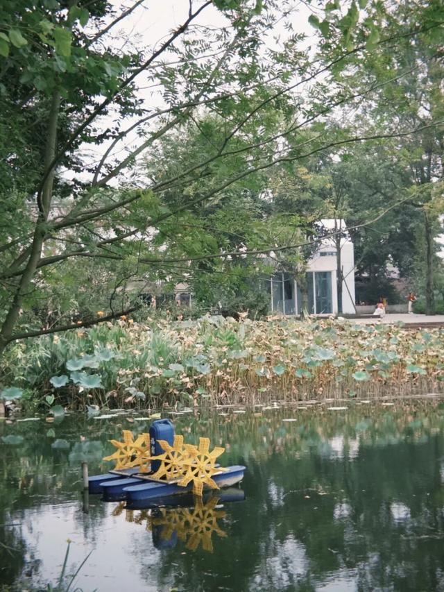 在成都西北郊区，这个渐渐淡出视野的最美乡村，还值得一去吗？
