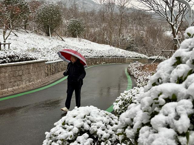 瑞雪飘然而至中国海滨城市青岛