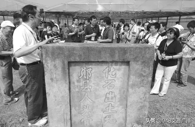 一路山水，满目诗意！湖北十堰这条风景道藏着最美远方