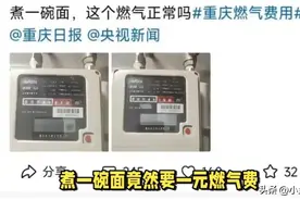 调查组雷霆出击！网友实测：煮碗面燃气费高达1元，重庆燃气慌了图片