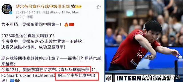 全运会结束仅半月，担心的事发生	，才发现全红婵和樊振东处境一样