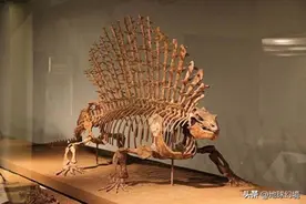 18张怪异生物图：苍蝇给自己的眼睛充气，活鱼被用来当酒壶图片