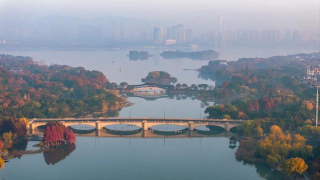 免费！无锡“巨无霸”公园火了