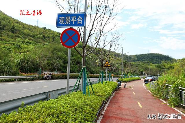 宁波最年轻的村庄，岗上风云