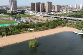 【2024爱沈阳·春天花正开】走起！相约富民桥下、浑河岸边，去观水玩沙！图片