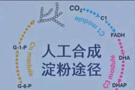 什么时候可以向加沙和叙利亚的难民空投“空气馒头”？图片