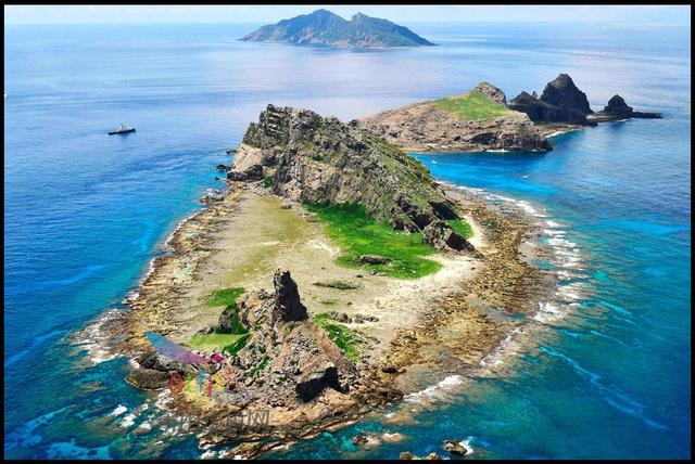 钓鱼岛上的羊儿肥