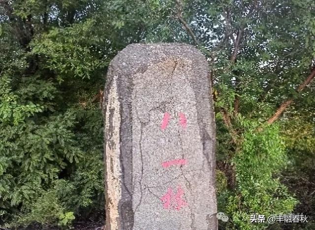 蕴含着远古历史文化的森林公园｜李 芳